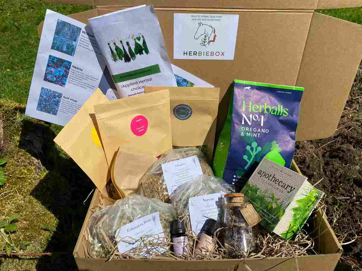 The Herbie Box - curated natural wellness products for horse and owner